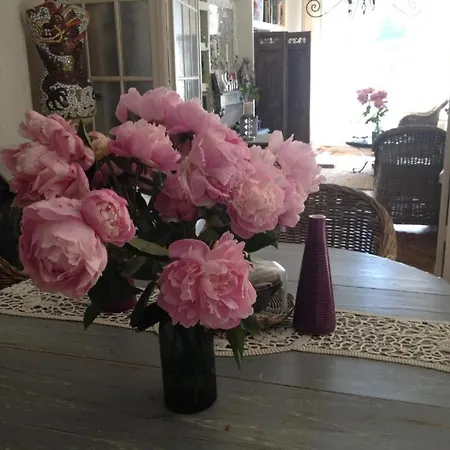 Lilas-rose